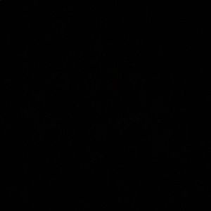 Meet your Posher, Bryan